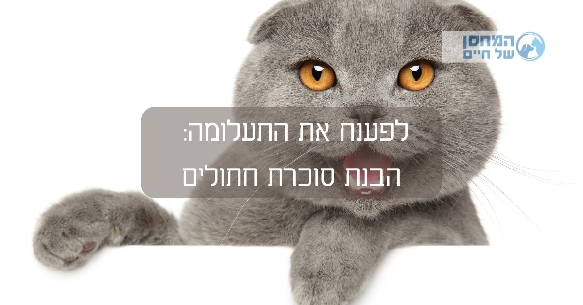 סוכרת חתולים 